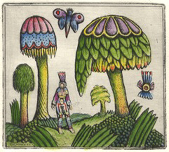 Monographie